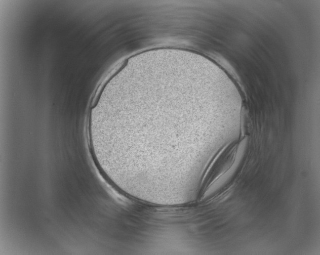 X0000068831391200606021631