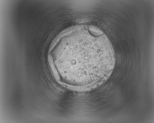 X0000068831393200606021631