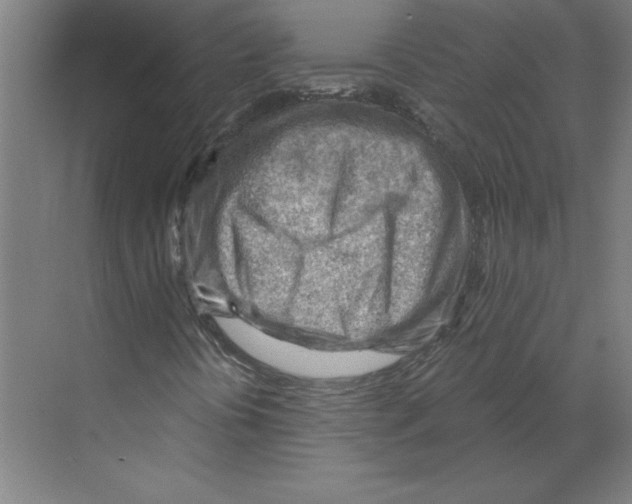 X0000068831394200606021631