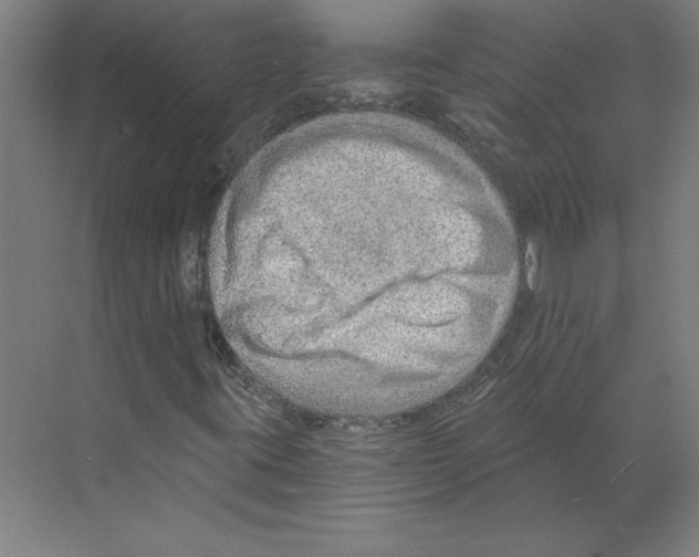 X0000068831395200606021631