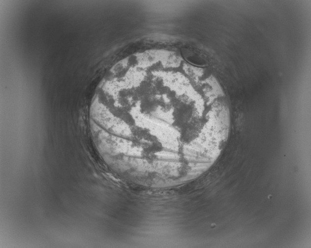 X0000068831397200606021631