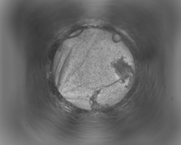 X0000068831399200606021631