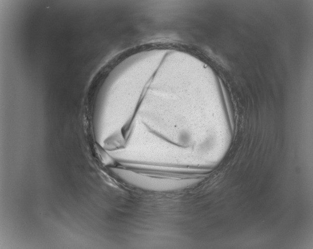 X0000068831400200606021631