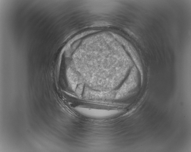 X0000068831401200606021631