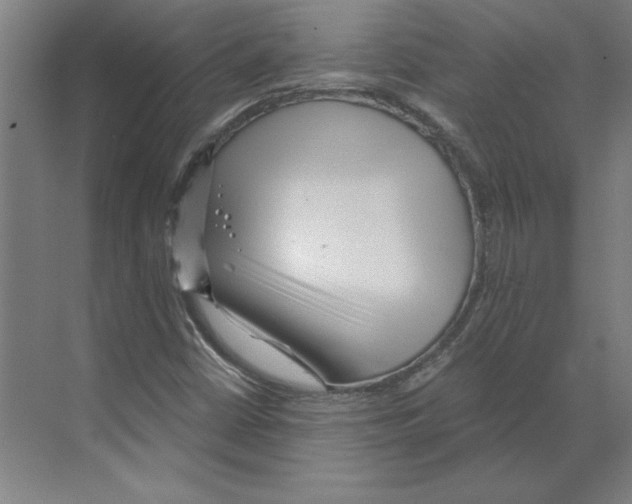 X0000068831402200606021631