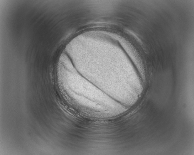 X0000068831403200606021631