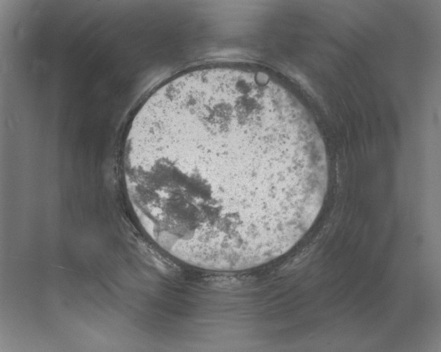 X0000068831405200606021631