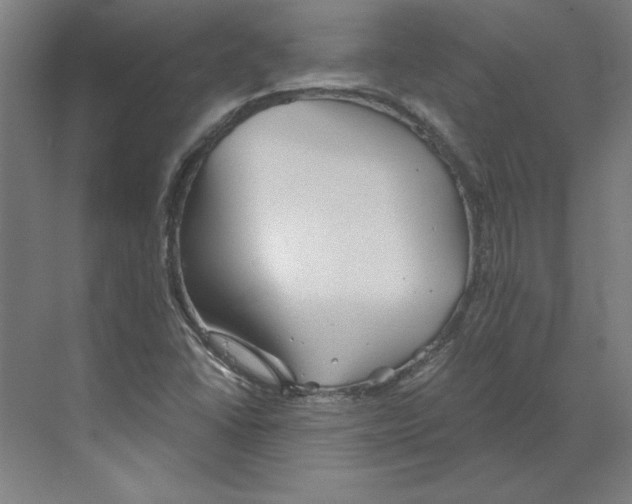 X0000068831406200606021631