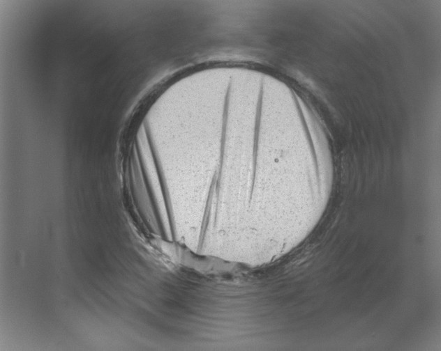 X0000068831408200606021631