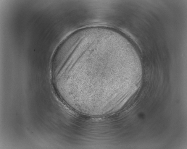 X0000068831415200606021631