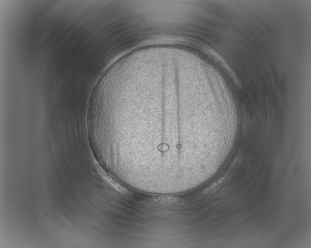 X0000068831417200606021631