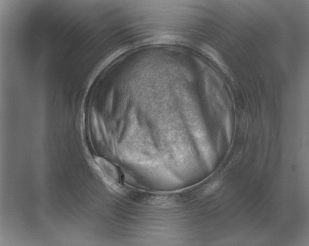 X0000068831418200606021631