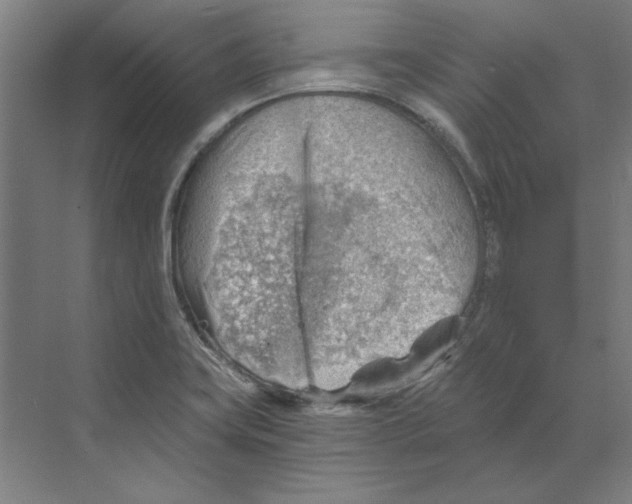 X0000068831419200606021631