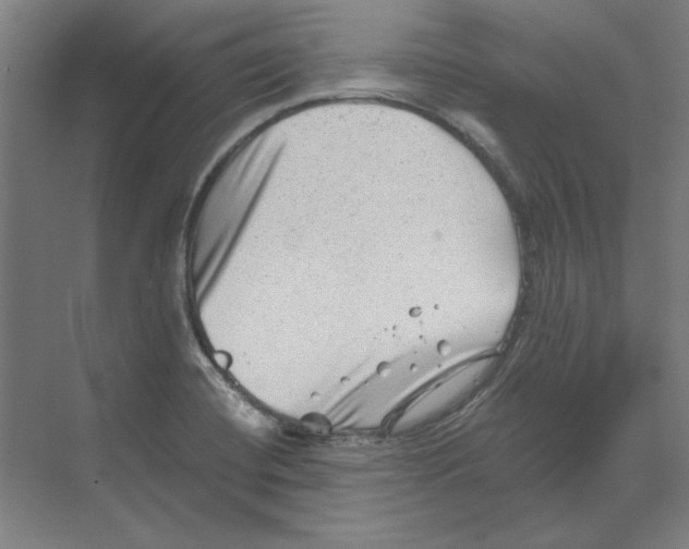 X0000068831420200606021631