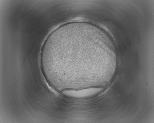 X0000068831421200606021631