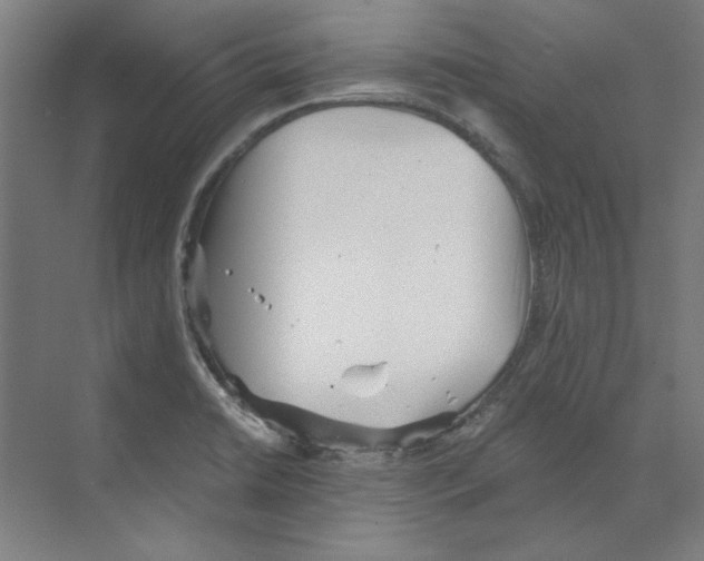 X0000068831422200606021631