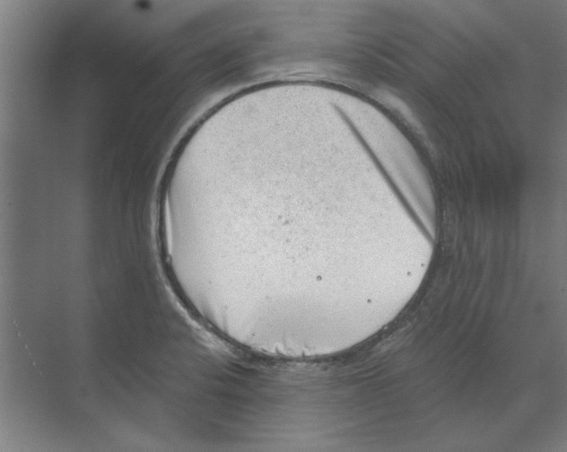 X0000068831424200606021631