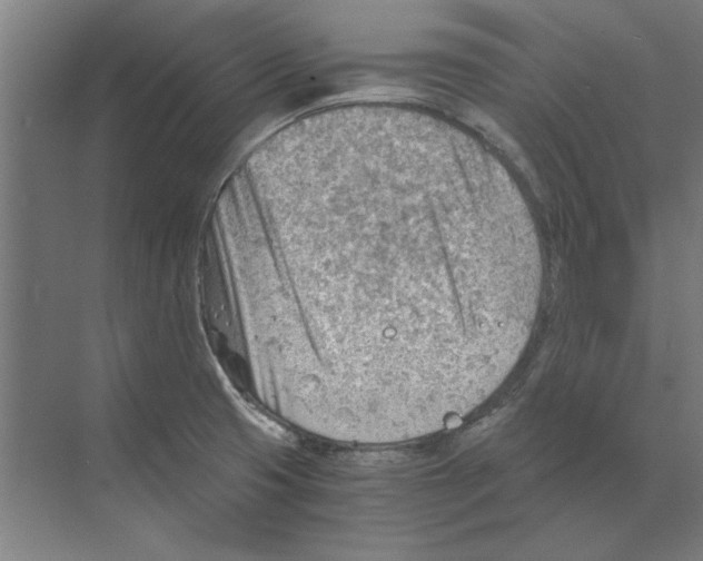 X0000068831425200606021631