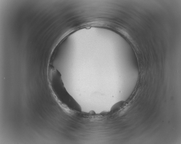 X0000068831426200606021631