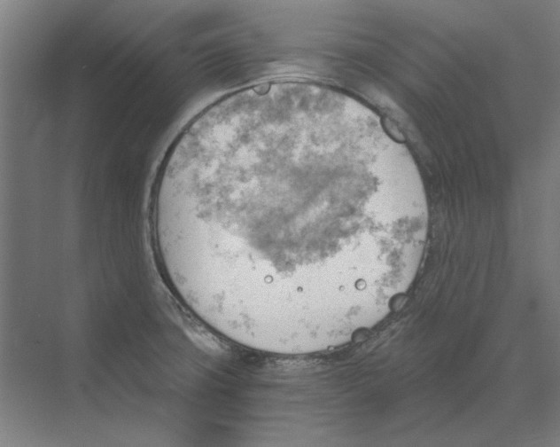 X0000068831427200606021631