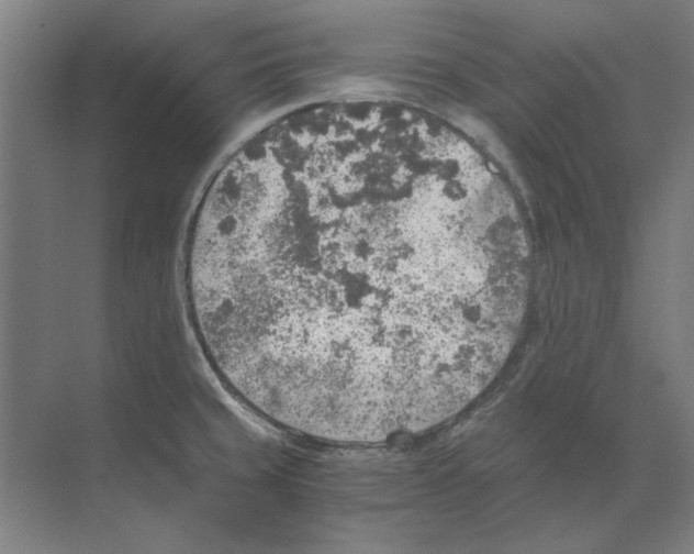 X0000068831429200606021631