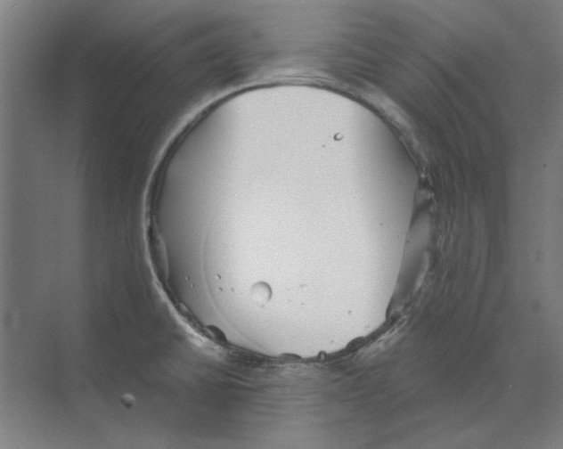 X0000068831430200606021631