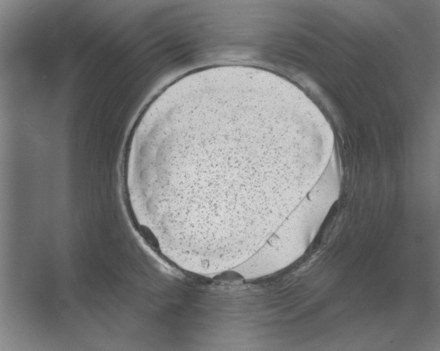 X0000068831432200606021631