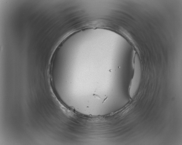 X0000068831434200606021631