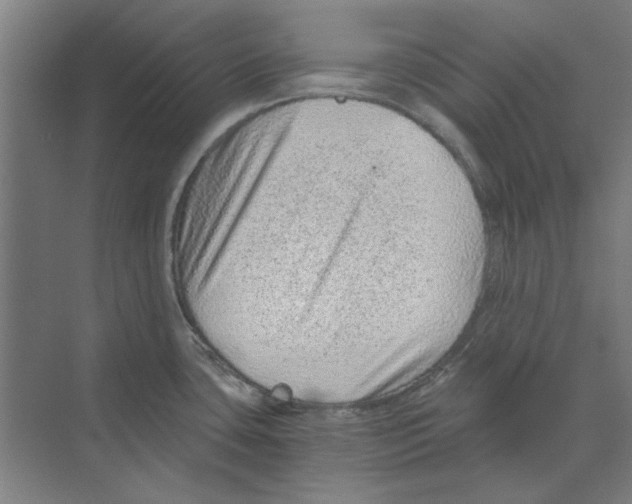 X0000068831435200606021631