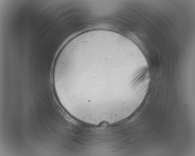 X0000068831436200606021631