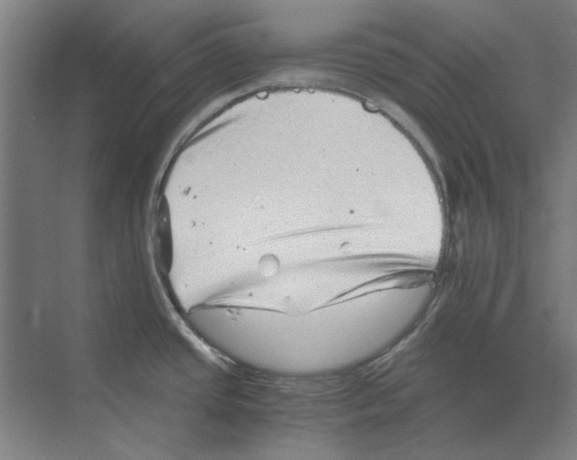 X0000068831437200606021631