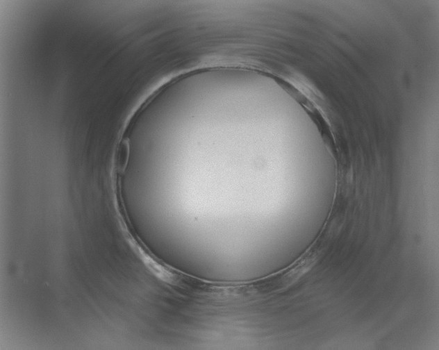 X0000068831438200606021631