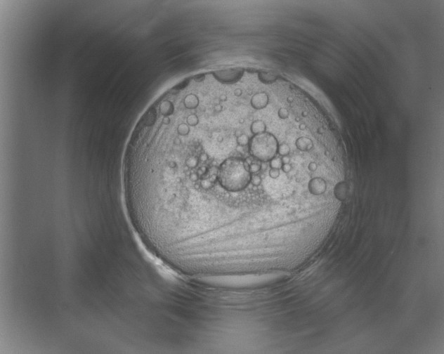 X0000068831439200606021631