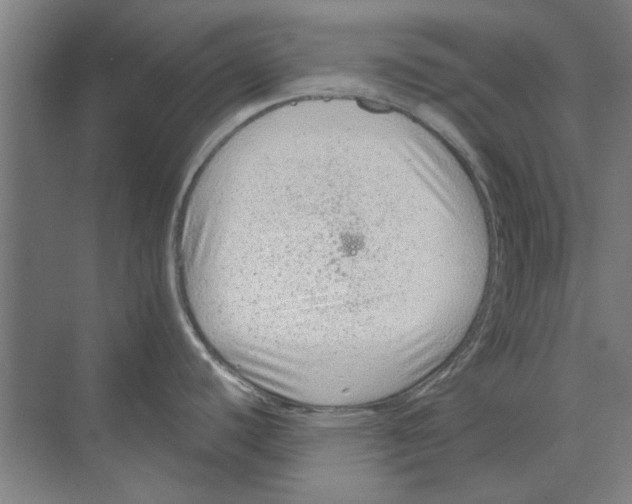 X0000068831440200606021631