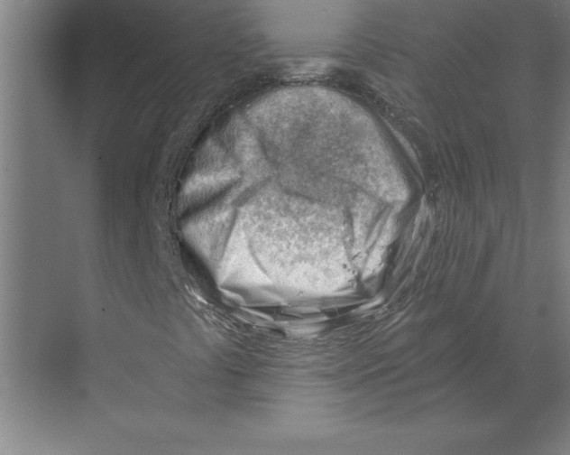 X0000068831441200606021630