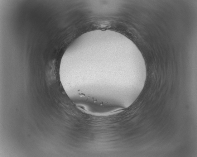 X0000068831442200606021630