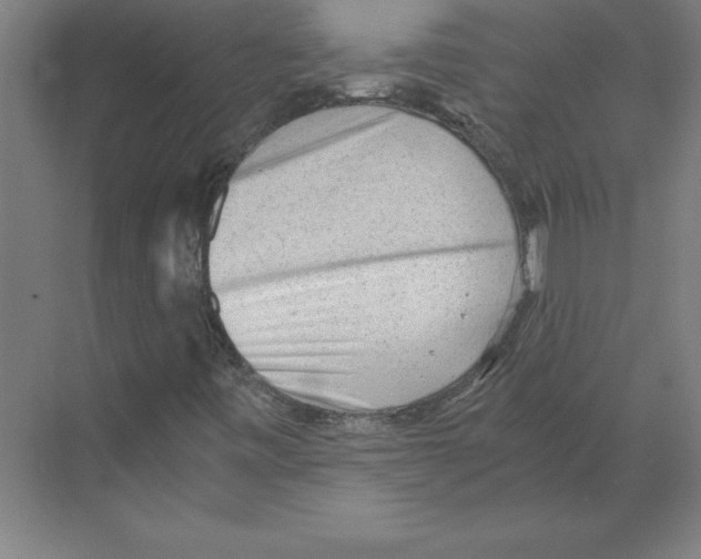 X0000068831443200606021630