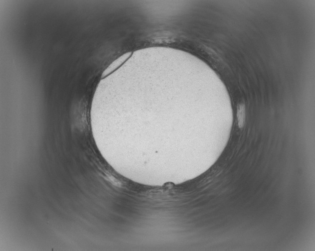 X0000068831444200606021630