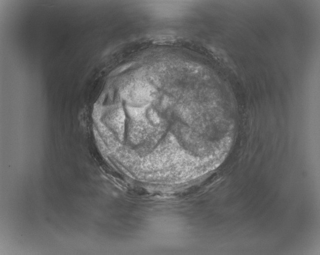 X0000068831445200606021630