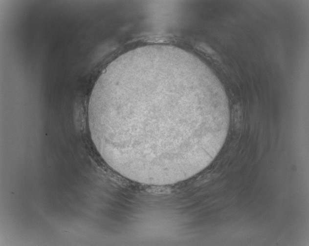 X0000068831446200606021630