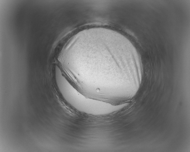 X0000068831448200606021630