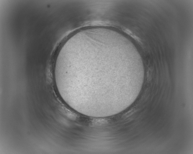 X0000068831454200606021630