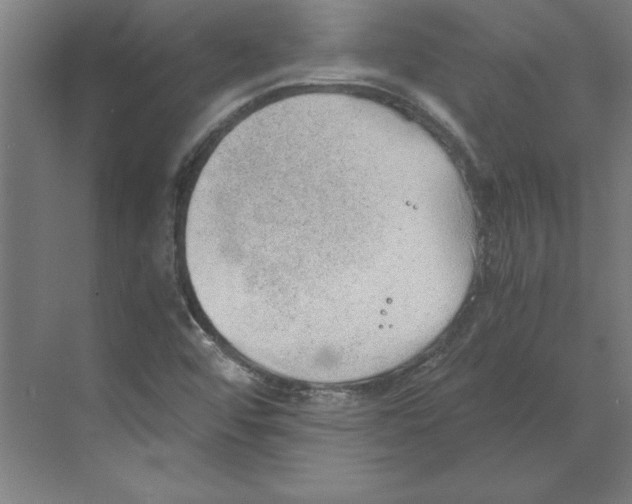 X0000068831456200606021630