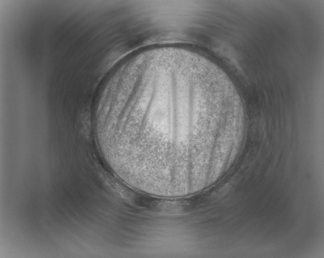 X0000068831457200606021630