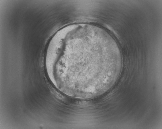 X0000068831459200606021630