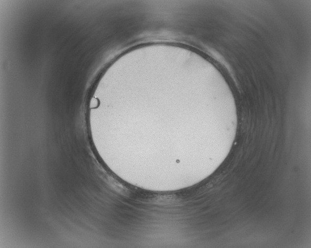 X0000068831464200606021630