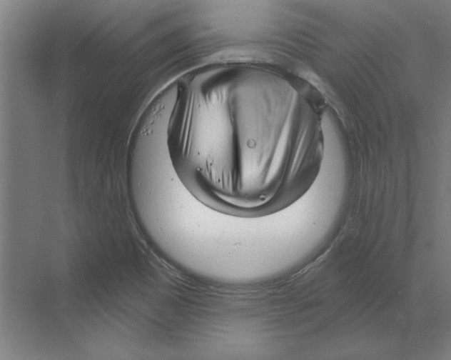 X0000068831465200606021630