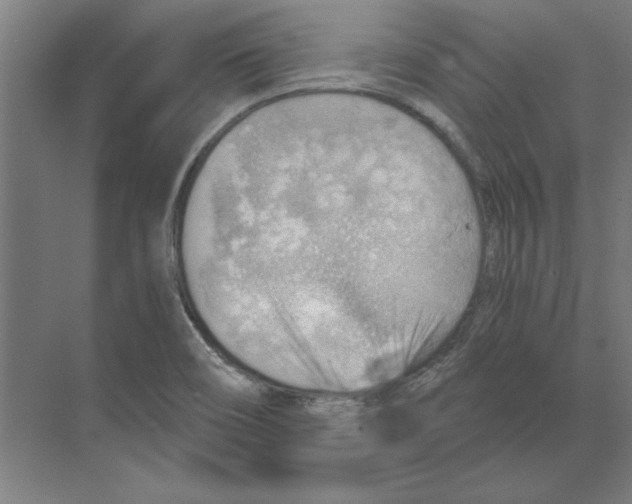 X0000068831466200606021630