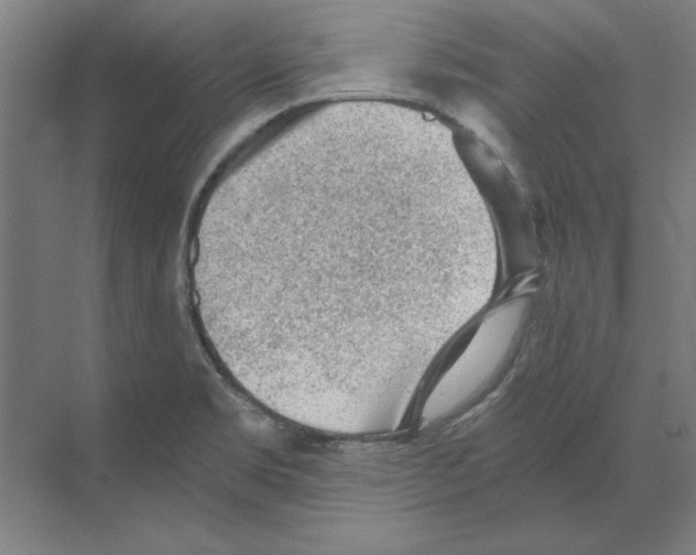 X0000068831469200606021630