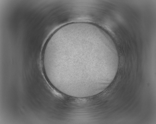 X0000068831470200606021630